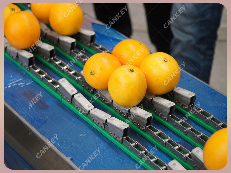 máquinas de envasado frutas